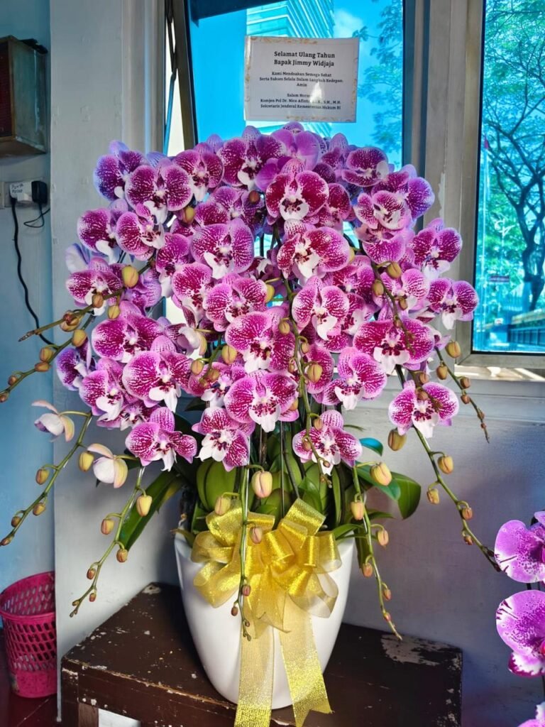 Bunga Anggrek Elegan