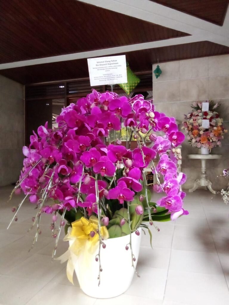 Bunga Vas Anggrek
