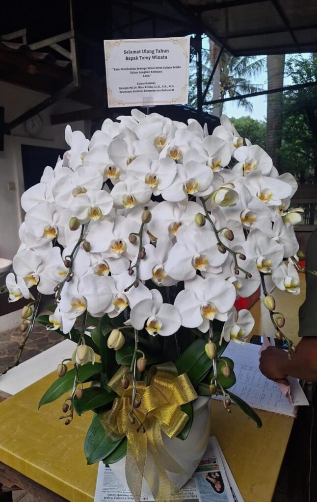 Rangkaian Bunga Anggrek